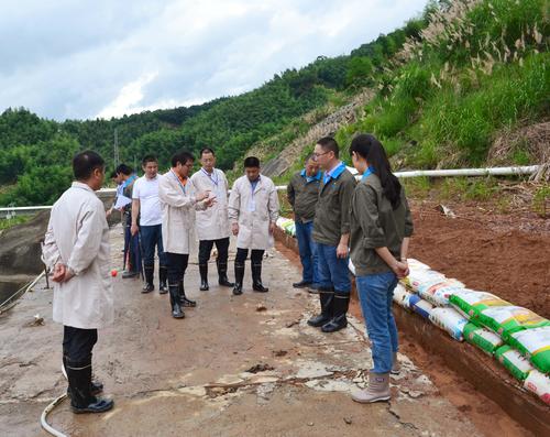 鄧義楨：6.21吳彩洪董事長(cháng)到龍巖分公司視察防汛抗災工作3.jpg