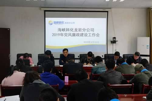 葉莉：龍巖分公司召開(kāi)2019年黨風(fēng)廉政建設工作會(huì ).jpg