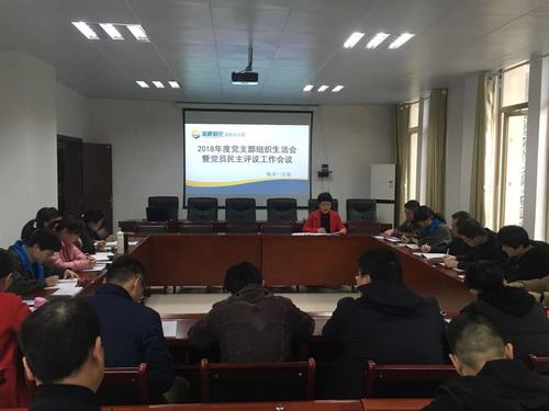 鐘林琳：龍巖分公司機關(guān)一支部召開(kāi)2018年度黨支部組織生活會(huì )暨評議黨員會(huì )議.jpg