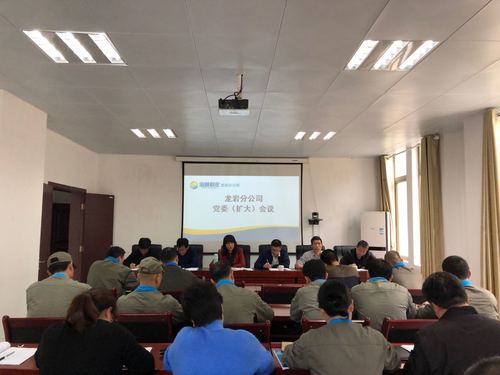 葉莉：龍巖分公司加強未巡先改工作的部署及落實(shí).jpg