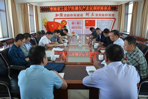 對海西東諾公司進(jìn)行檢查指導.jpg