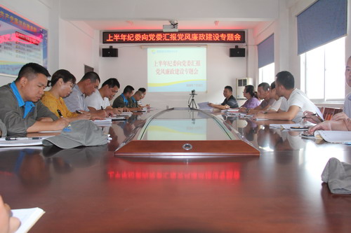 圖為上半年紀委向黨委匯報黨風(fēng)廉政建設專(zhuān)題會(huì )現場(chǎng)_調整大小.JPG