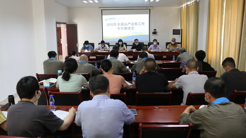 （建議采用）吳瑤：龍巖分公司黨委召開(kāi)2020年全面從嚴治黨工作半年推進(jìn)會(huì )_調整大小.JPG
