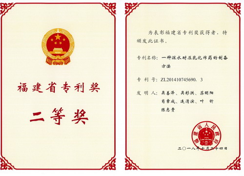 永安分公司：2018年獲福建省專(zhuān)利獎二等獎_調整大小.jpg