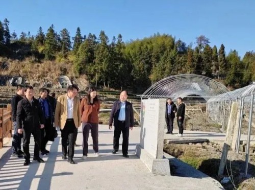 海峽科化公司黨委書(shū)記、董事長(cháng)吳彩洪到福安市城陽(yáng)鎮仙嶺村調研鄉村振興工作并慰問(wèn)駐村干部2.jpg