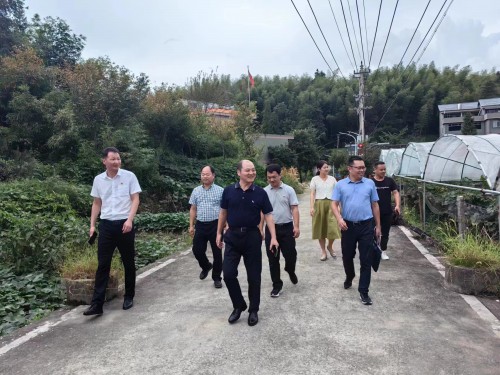格式工廠(chǎng)福安黃曉志：圖為省機電控股公司黨委委員、副總經(jīng)理吳大文到福安市仙嶺村開(kāi)展鄉村振興工作調�?(2).jpg