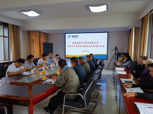 格式工廠(chǎng)海峽科化公司紀委書(shū)記何浦寨一行到青海海西東諾公司開(kāi)展安全生產(chǎn)再督查及招標采購專(zhuān)項檢查會(huì )現場(chǎng)1.jpg